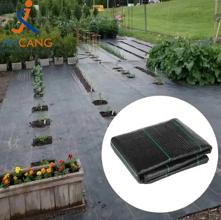 حصیر علفهای هرز بافته شده