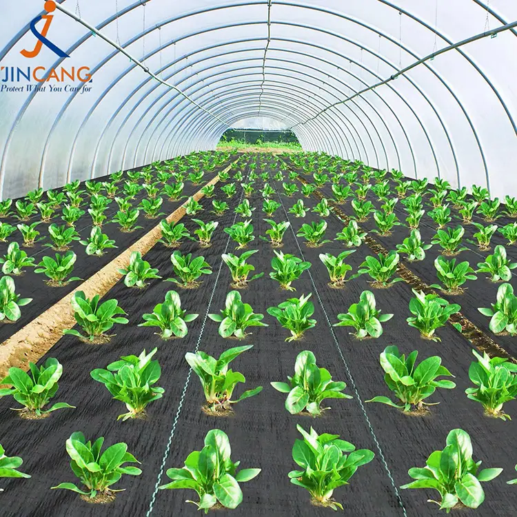 حصیر علفهای هرز بافته شده