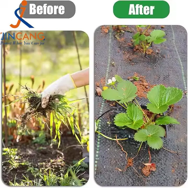 حصیر علفهای هرز بافته شده