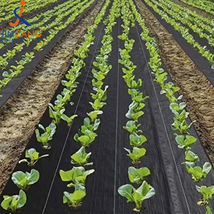 پارچه ضد علفهای هرز PE بافته شده باغ کنترل علفهای هرز